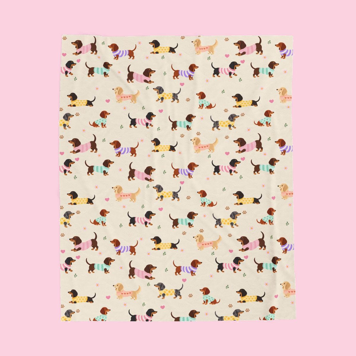 Full pattern on a Cream velveteen plush blanket on a blush backdrop with dachshunds in knit sweaters.