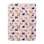 On a white background, a Blush cat sherpa blanket lies flat with cartoon cats and leaf sprigs covering the printed fleece front.