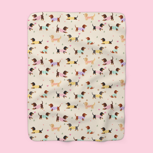 Sweater-wearing dachshunds cover a Cream sherpa fleece blanket laid flat on a soft blush backdrop.