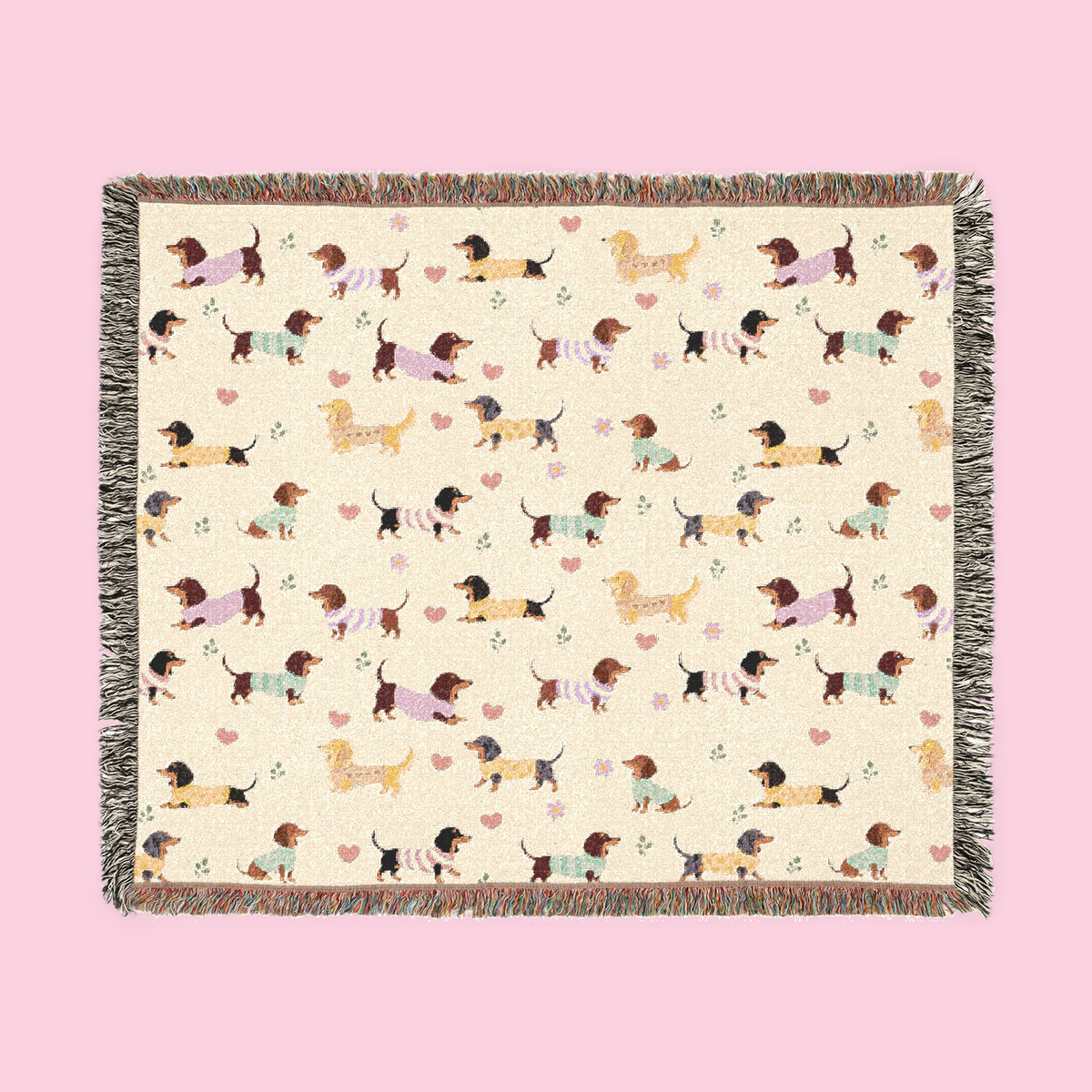 Colorful fringe borders a Cream woven cotton blanket laid flat, showing dachshunds in knit sweaters.